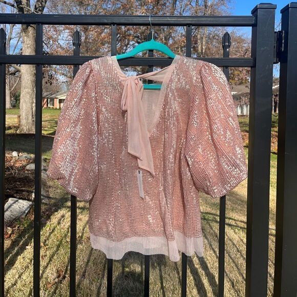 Anthropologie Sarah Hann Sequined Puff Sleeve Top NWT - Picture 14 of 16